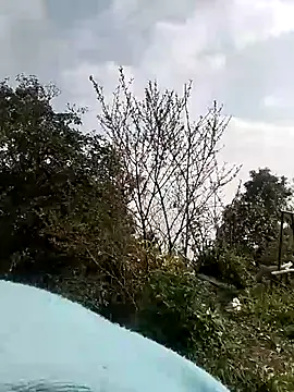 Tiyir597 online show from 1, 3, 2026