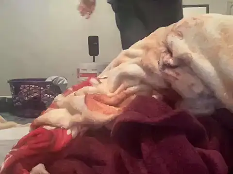 MarlonGuz online show from 21, 4, 2026