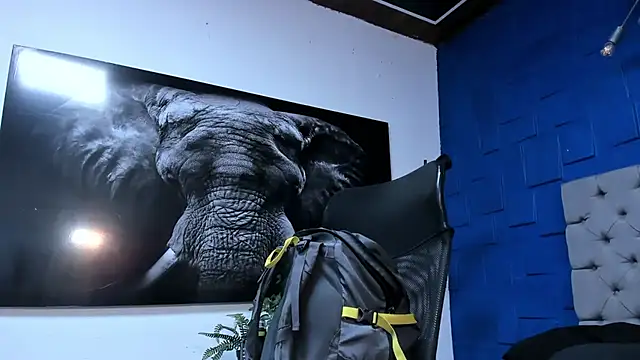 andres-clark92 online show from 30, 11, 2025