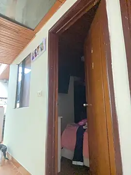 juliana-mancini online show from 8, 1, 2026