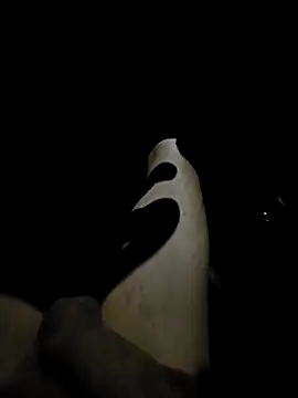 antalya001 online show from 7, 2, 2026