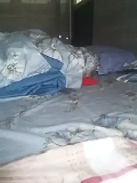 Tan32 11 online show from 5, 2, 2026