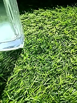 BlackhorseBBC online show from 18, 2, 2026