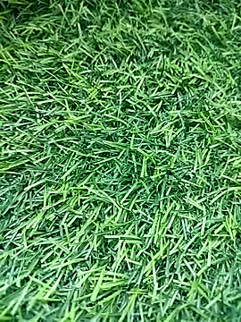 BlackhorseBBC online show from 14, 3, 2026