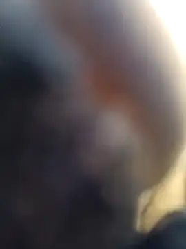 ShawnandDani7074 online show from 4, 2, 2026