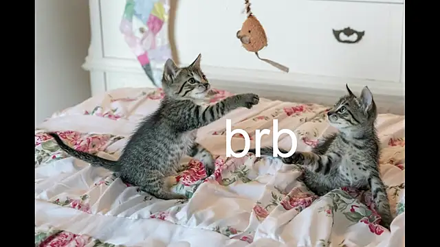 Pink girl0n online show from 27, 9, 2025