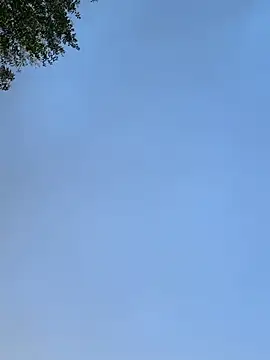 Snapshot of raen001 chatting on 24, 11, 2025 raen001 online show from 24, 11, 2025