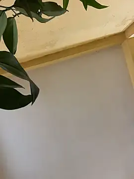 femboyslqueen online show from 1, 12, 2025