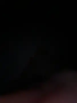 limond20 online show from 8, 2, 2026