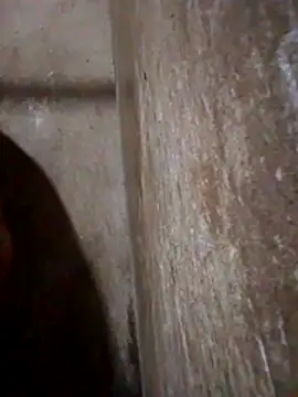 Snapshot of Lujor chatting on 13, 3, 2026 Lujor online show from 13, 3, 2026