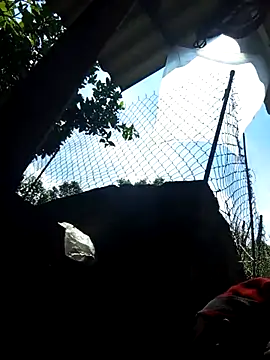 Bibilenu online show from 5, 10, 2025