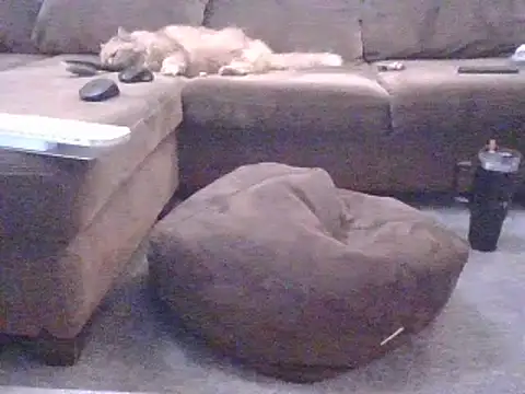 Jassonishorny online show from 8, 3, 2026