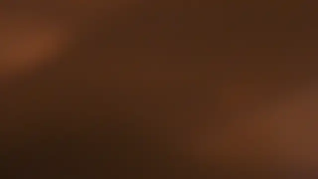 WILD FIREE  online show from 12, 10, 2025