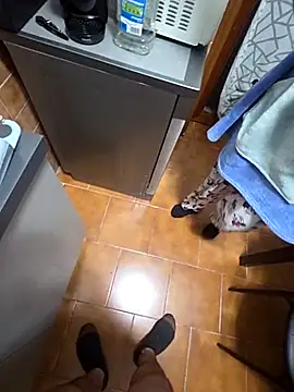 coppiaoraleee online show from 20, 11, 2025