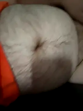 fatchubbynurse online show from 8, 9, 2025