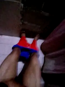 Cfsnl online show from 28, 4, 2026