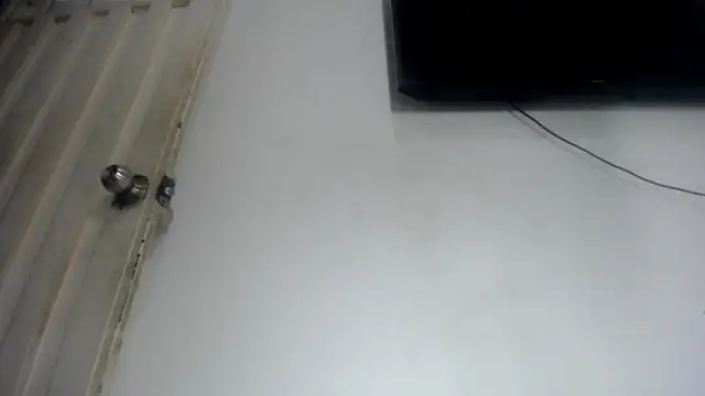 Foxy Lovex online show from 25, 4, 2026