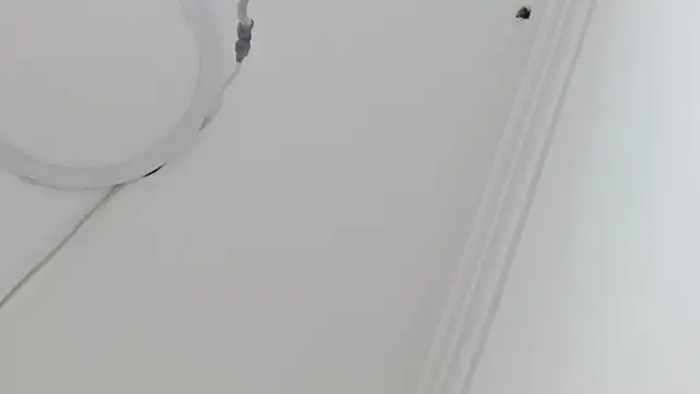 Atley Dolly online show from 21, 9, 2025