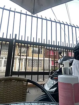 Sallem Pink online show from 17, 1, 2026