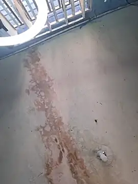 camila rogue online show from 28, 11, 2025