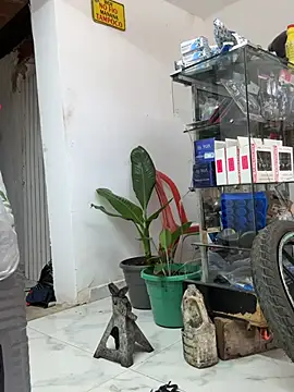 Terra-22cm online show from 19, 4, 2026