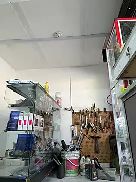 Terra-22cm online show from 22, 4, 2026