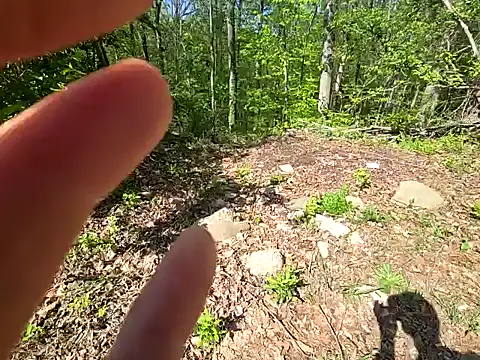 sloppytopkins online show from 20, 4, 2026