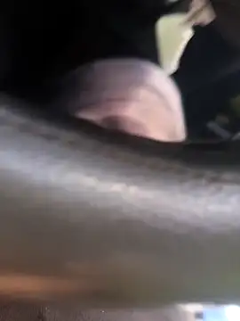 Frank0021 online show from 4, 11, 2025