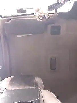 N i k o l a u online show from 28, 4, 2026