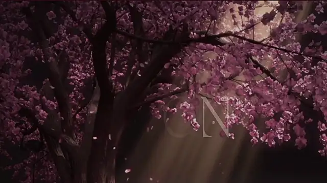 EdenArcadia online show from 20, 5, 2026