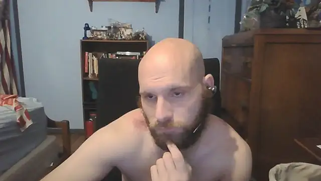 PDrents online show from 7, 10, 2025