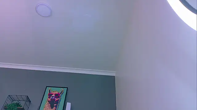 MrFox   online show from 16, 5, 2026