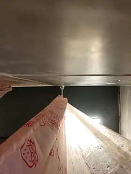 chocolate bella online show from 20, 4, 2026