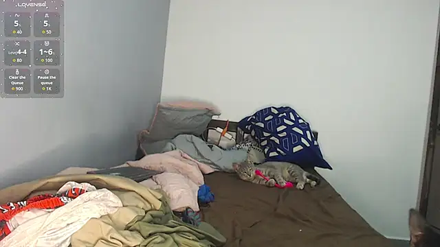 brisazanes online show from 13, 11, 2025