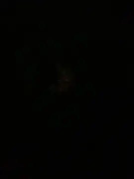 amitsharma7868 online show from 20, 4, 2026