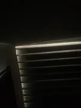 envolvemteX online show from 1, 3, 2026