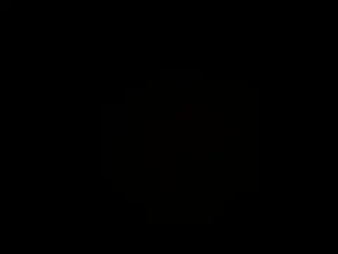 Salon1986 online show from 29, 10, 2025