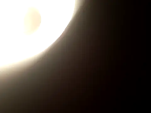 Salon1986 online show from 31, 10, 2025