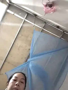 naop04 online show from 29, 9, 2025