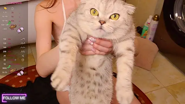 Snapshot of Angell_Wild chatting on 24, 11, 2025 Angell Wild online show from 24, 11, 2025