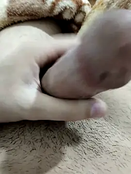 Snapshot of Zepe_12 chatting on 13, 2, 2026 Zepe 12 online show from 13, 2, 2026