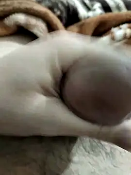 Snapshot of Zepe_12 chatting on 1, 3, 2026 Zepe 12 online show from 1, 3, 2026