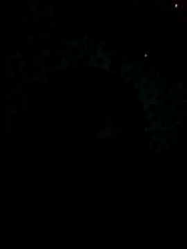 UntidyGuar online show from 4, 11, 2025