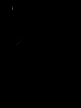 Snapshot of koukou322 chatting on 2, 11, 2025 koukou322 online show from 2, 11, 2025