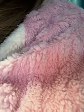 lelebaybay888 online show from 7, 2, 2026