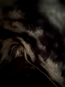 Snapshot of jackyw chatting on 21, 11, 2025 jackyw online show from 21, 11, 2025