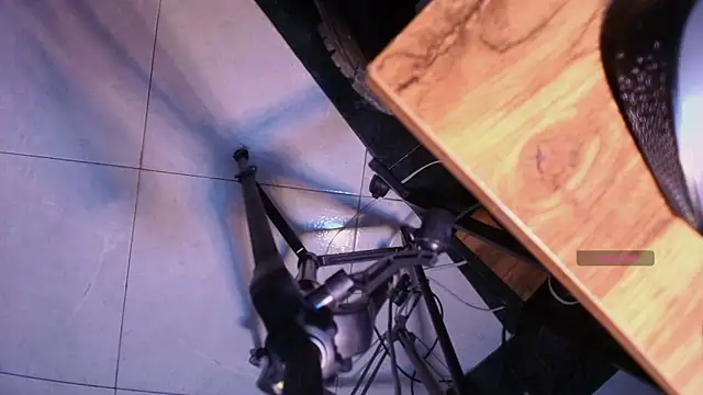 Terraelowen online show from 10, 11, 2025