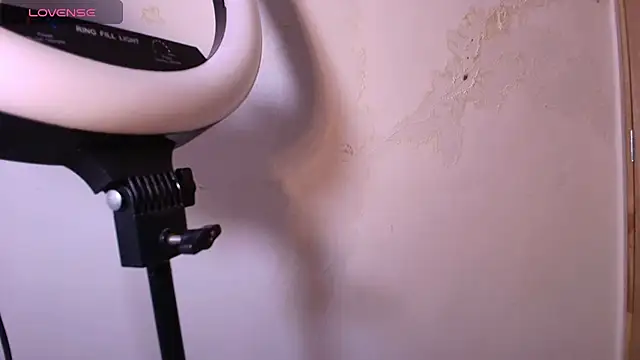 Terraelowen online show from 29, 11, 2025