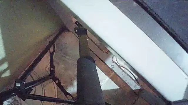 Terraelowen online show from 24, 3, 2026