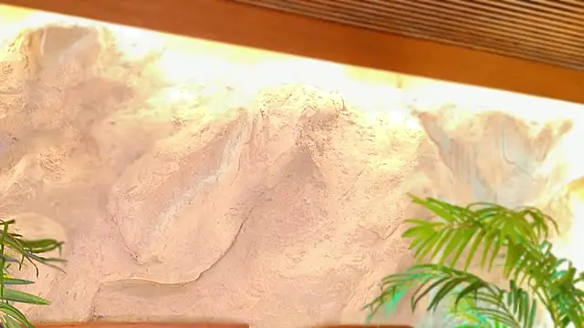 alisonn moon online show from 25, 4, 2026